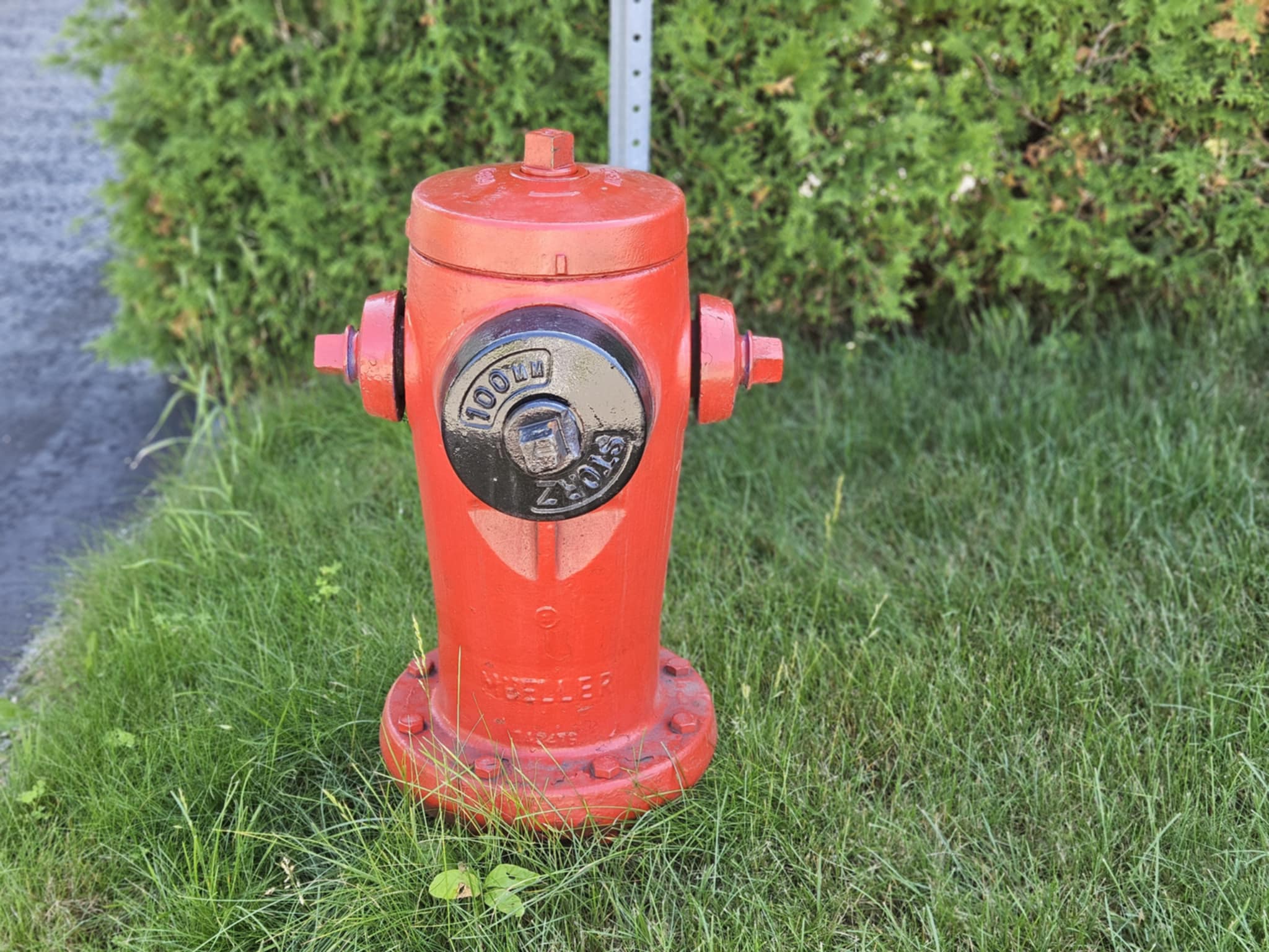 5a7db92a-6b73-417c-bda7-5eadb82f59d9